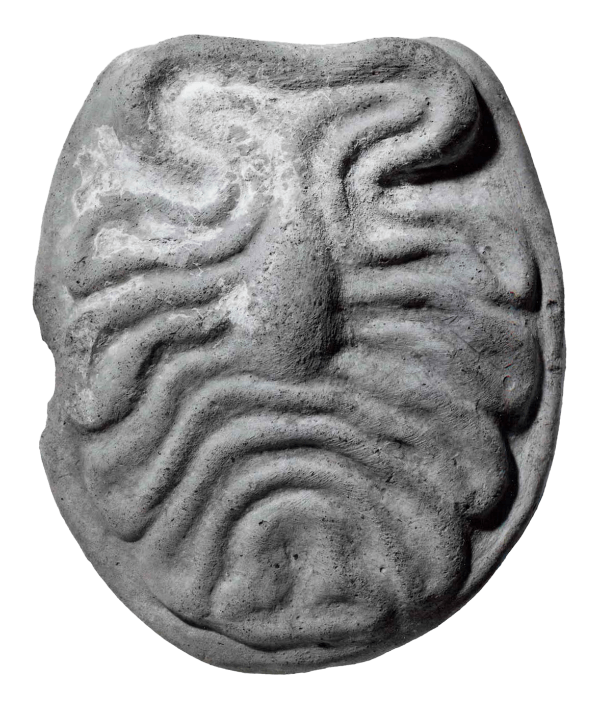Terracotta Anatomical Votive Comparative Guts