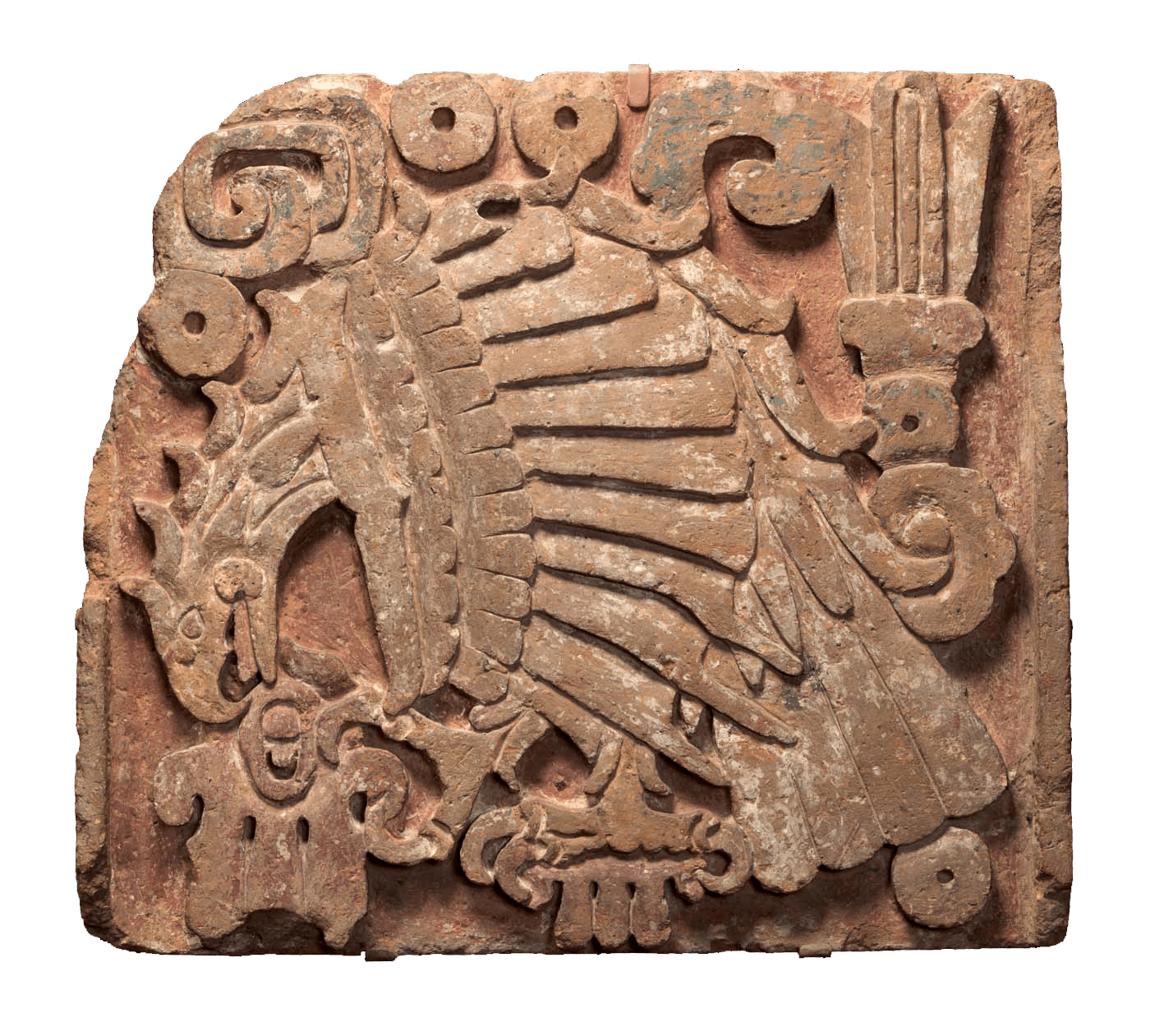 Steinrelief eines Adlers, der ein Herz verschlingt, aus Tula, Mexiko, 900 bis 1200 n. Chr. Das Foto zeigt ein nahezu quadratisches Flachrelief aus rotbraunem Stein. An einigen Stellen sind Spuren von blaugrauen und weißen Farbresten erkennbar. Fast der gesamte Raum des Reliefs ist von der Darstellung eines Adlers in Seitenansicht ausgefüllt. Die Flügel des Vogels sind angelegt, der Kopf weist in die linke untere Ecke. Kopf, Hals und Rücken bilden einen Bogen, der von den nach unten hängenden Schwanzfedern bis in die rechte untere Ecke fortgesetzt wird. Die Krallen des linken Fußes umschließen einen Stab, der von unten ins Bild ragt. Mit den Krallen des rechten Fußes hält der Adler ein rundliches spiegelsymetrisches Gebilde mit Ausbuchtungen, das von der Forschung als menschliches Herz beschrieben wird. Es wird vom oberen Teil des geöffneten Schnabels berührt. Der Schnabel ist sichelförmig gebogen, im Mundraum ist die Zunge sichtbar. Das Federkleid ist vereinfacht dargestellt. Der Flügel erinnert an einen geöffneten Fächer. Die Deckfedern verlaufen in drei schmalen Bahnen von oben nach unten. Der Raum oberhalb des Adlers ist mit Ornamenten ausgefüllt. Darunter sind kreisförmige Gebilde mit einem Loch im Zentrum und doppelt gerahmte Rechtecke. Ein weiteres kreisförmiges Ornament mit Loch befindet sich in der rechten unteren Ecke. Das Relief war Teil eines großen Ornamentbandes. Es verlief um die Stufen einer Pyramide, die sich im Zentrum Tulas befand, in einem Bezirk, der für zeremonielle Zwecke genutzt wurde. — — Stone Relief of an Eagle Devouring a Heart from Tula, Mexico, 900 to 1200 AD The photo shows a nearly square bas-relief made of reddish-brown stone. Traces of blue-grey and white paint residues are visible in some places. Almost the entire space of the relief is filled by the depiction of an eagle viewed from the side. The wings of the bird are laid out, the head points to the lower left corner. The head, neck and back form an arch which is continued by the tail feathers hanging downwards to the bottom right corner. The claws of the left foot clasp a staff that protrudes into the picture from below. With the claws of the right foot, the eagle holds a round mirror-symmetrical structure with bulges, described by researchers as a human heart. It is touched by the upper part of the open beak. The beak is curved in a sickle shape, and the tongue is visible in the mouth area. The plumage is simplified. The wing resembles an open fan. The coverts (top feathers) run in three narrow courses from top to bottom. The space above the eagle is filled with ornaments. Below are circular structures with a hole in the centre and double-framed rectangles. Another circular ornament with a hole is in the lower right corner. The relief was part of a large ornamental band. It ran around the steps of a pyramid located in the centre of Tula, in a district used for ceremonial purposes.