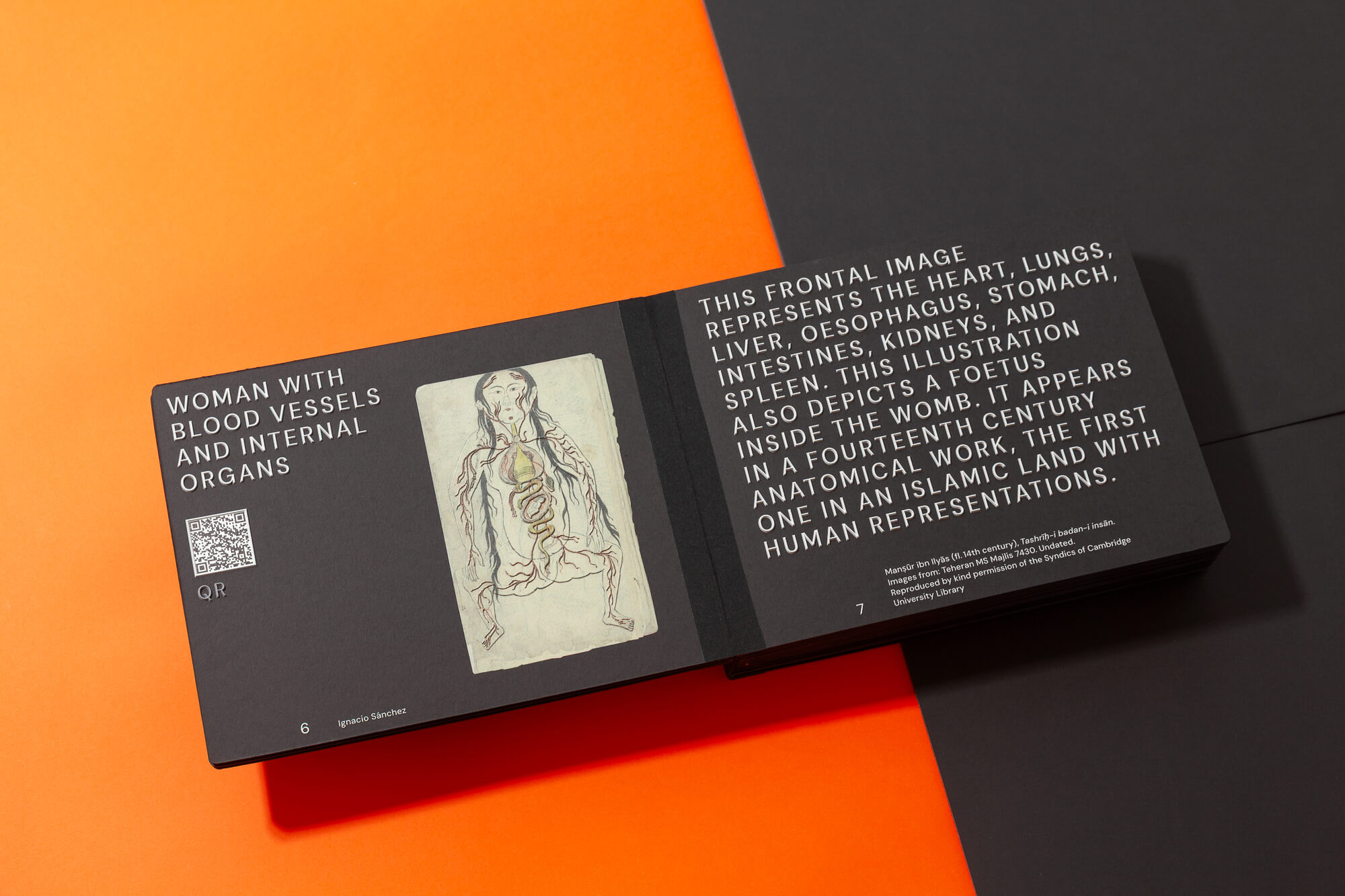 tactile_guts-5